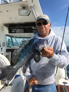 Black Bass Fishing, with Capt. Ron Montauk Charter with Capt. Ron